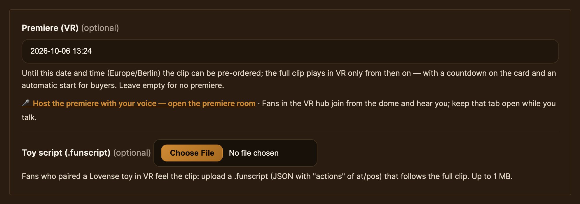 The clip form: Premiere (VR) and the toy script field.