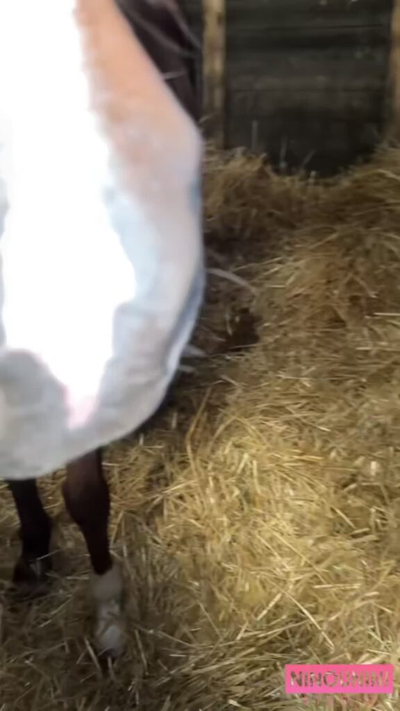 HORSE SHIT & DOG SHIT 💩🐴🐶 (SENSITIVE CONTENT)
